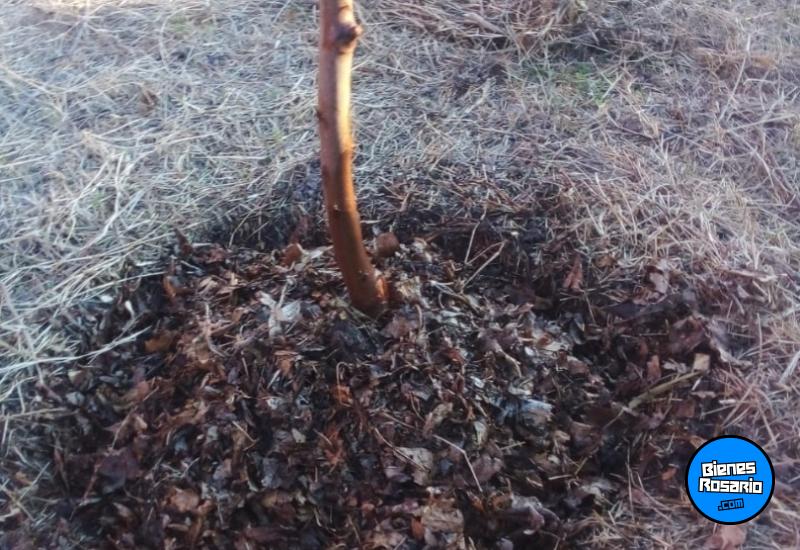 Terrenos - Rosario - Venta