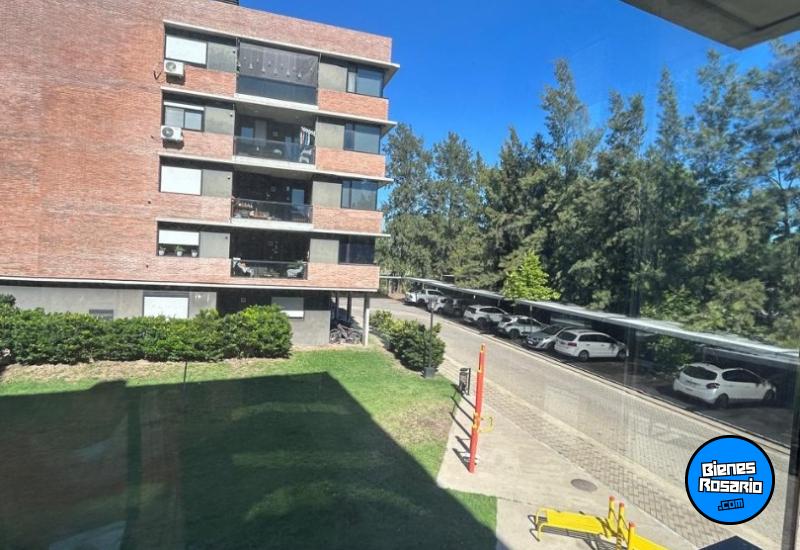 Departamentos - Rosario -  Alquiler
