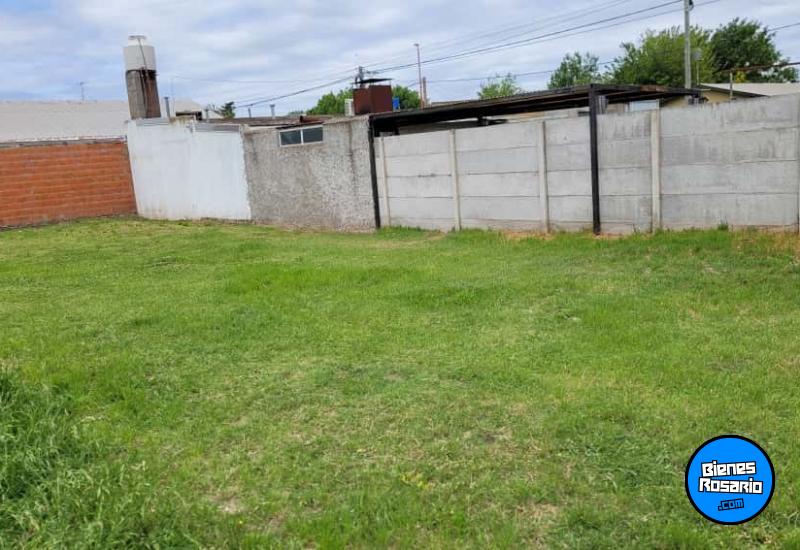 Terrenos - Armstrong - Venta