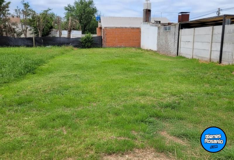 Terrenos - Armstrong - Venta