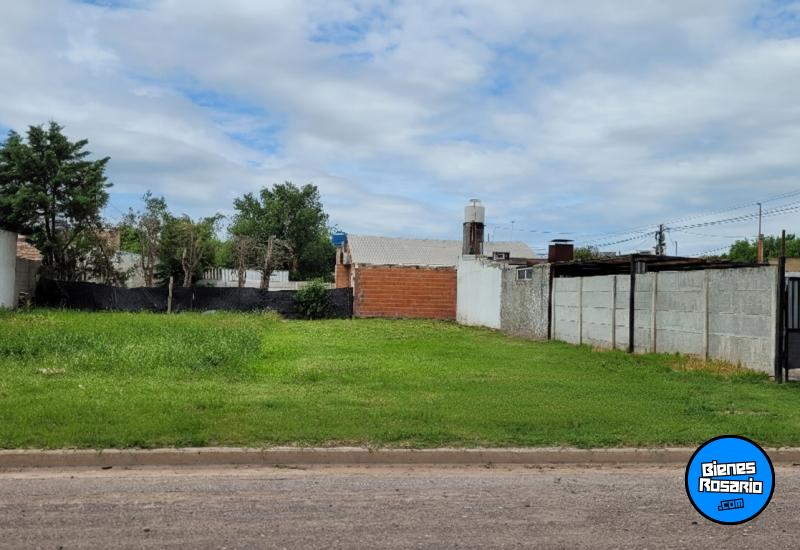 Terrenos - Armstrong - Venta