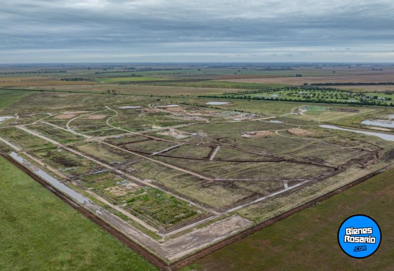 Terrenos - Ibarlucea - Venta