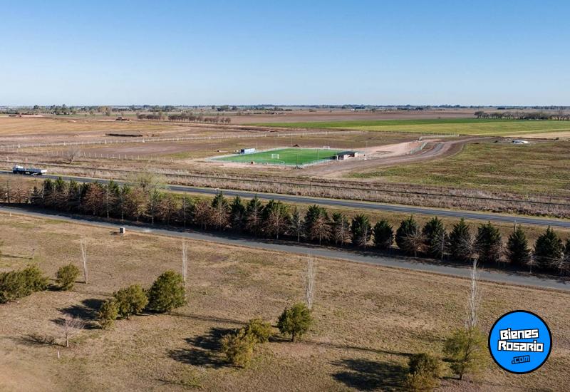 Terrenos - Ibarlucea - Venta