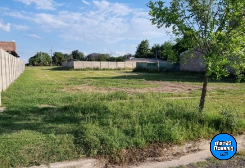 Terrenos - Arroyo Seco - Venta