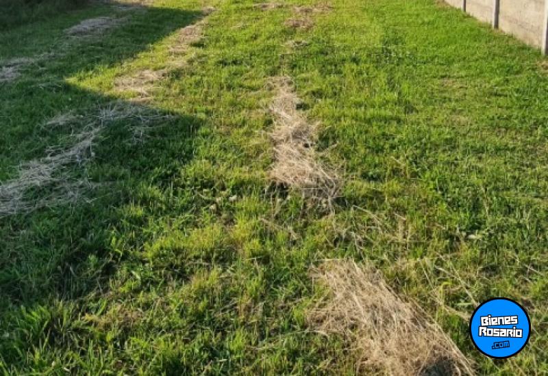 Terrenos - Arroyo Seco - Venta