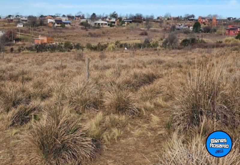 Terrenos - Yacanto De Calamuchita - Venta