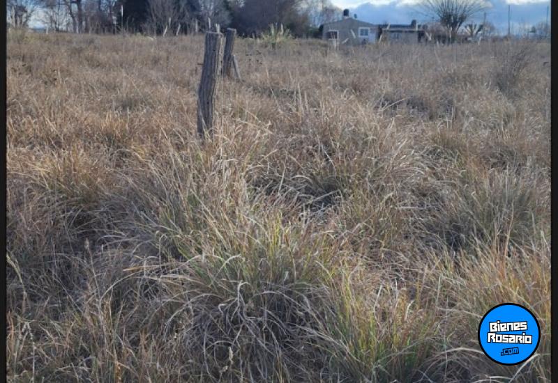 Terrenos - Yacanto De Calamuchita - Venta