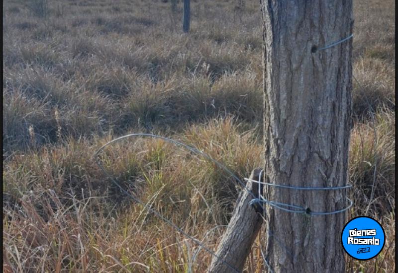 Terrenos - Yacanto De Calamuchita - Venta