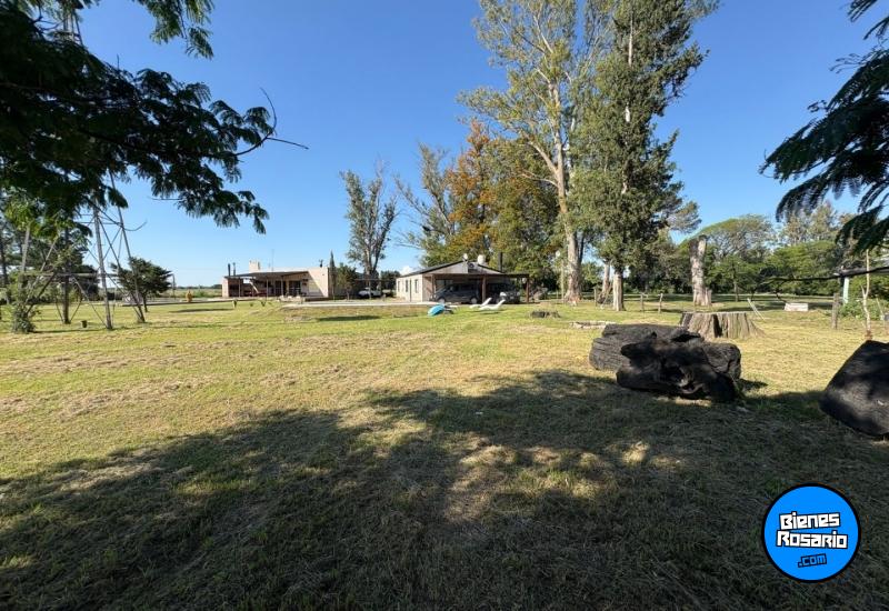 Casas - Oliveros - Venta