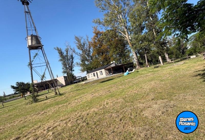 Casas - Oliveros - Venta