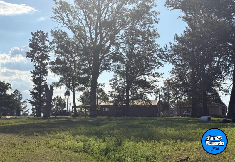 Casas - Oliveros - Venta