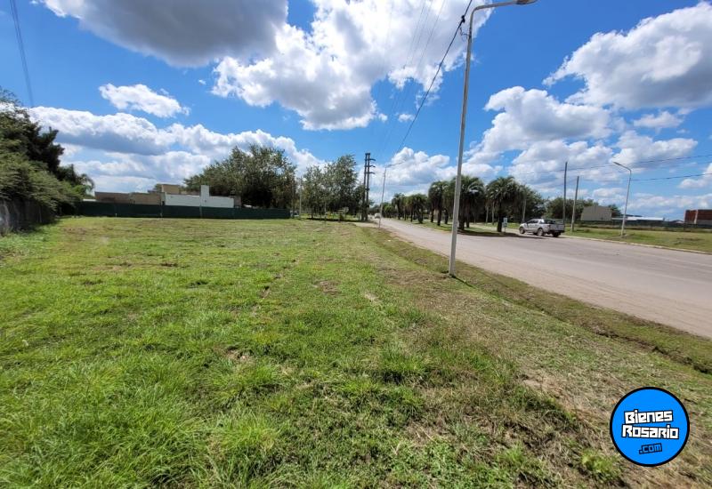 Terrenos - Roldan - Venta