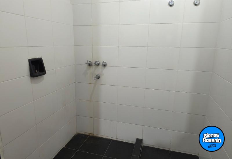 Departamentos - Alquiler