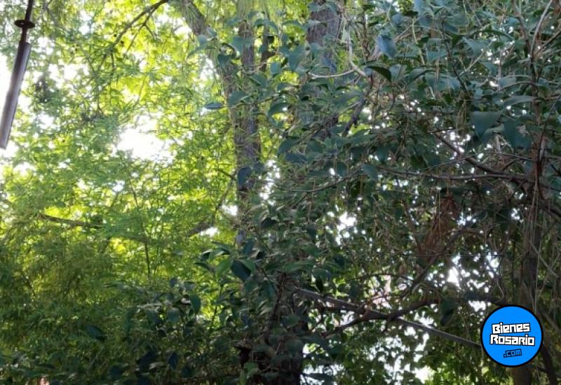 Casas - Rosario - Venta