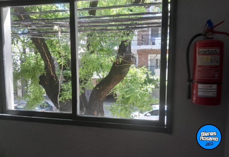 Departamentos - Rosario - Alquiler