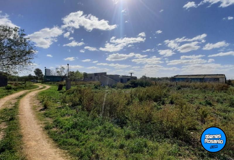 Campos - San Lorenzo - Venta