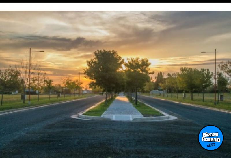 Terrenos - Andino - Venta