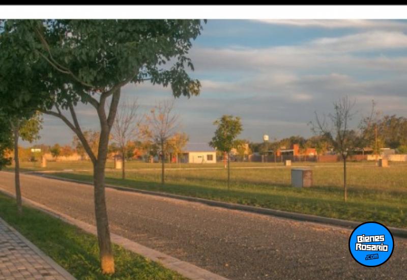 Terrenos - Andino - Venta