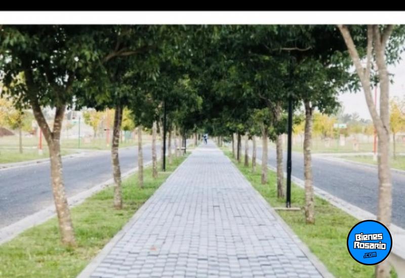 Terrenos - Andino - Venta