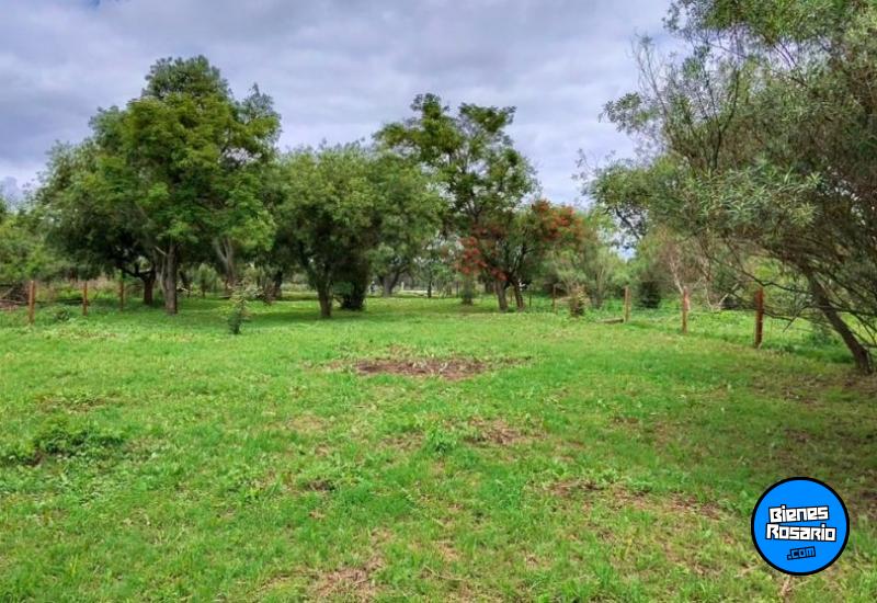 Terrenos - Victoria - Venta