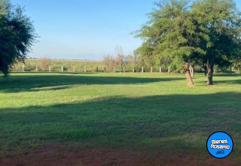 Terrenos - Victoria - Venta