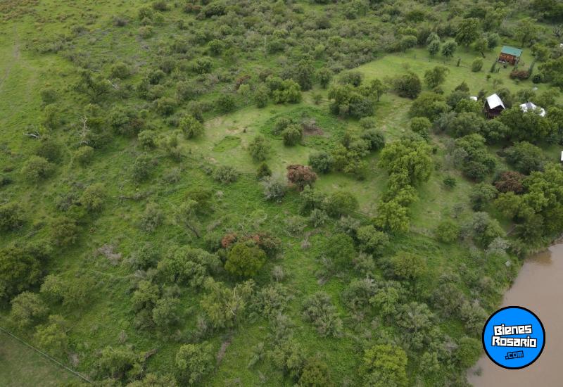 Terrenos - Victoria - Venta