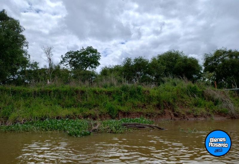 Terrenos - Victoria - Venta