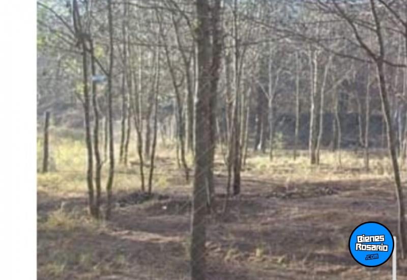 Terrenos - Cosquin - Venta