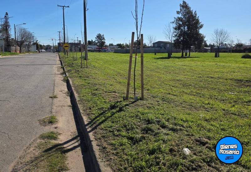 Terrenos - General Lagos - Venta