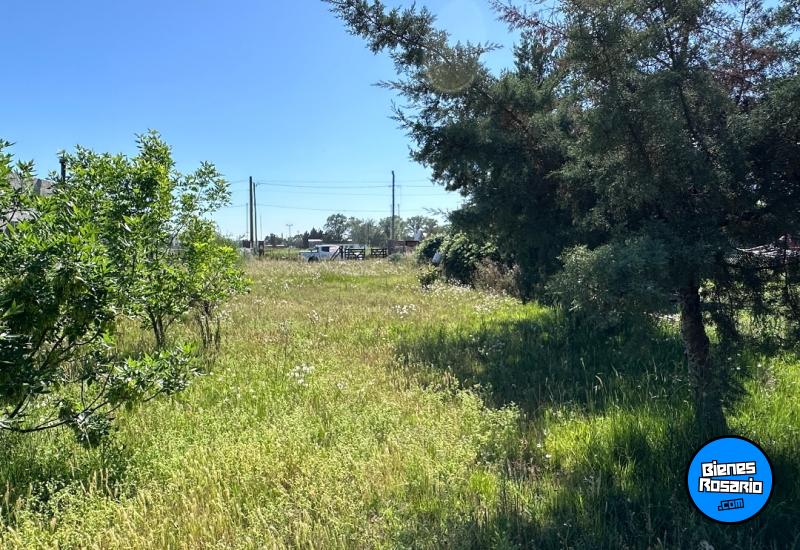 Terrenos - Palacios, Luis ,est.la Salada - Venta