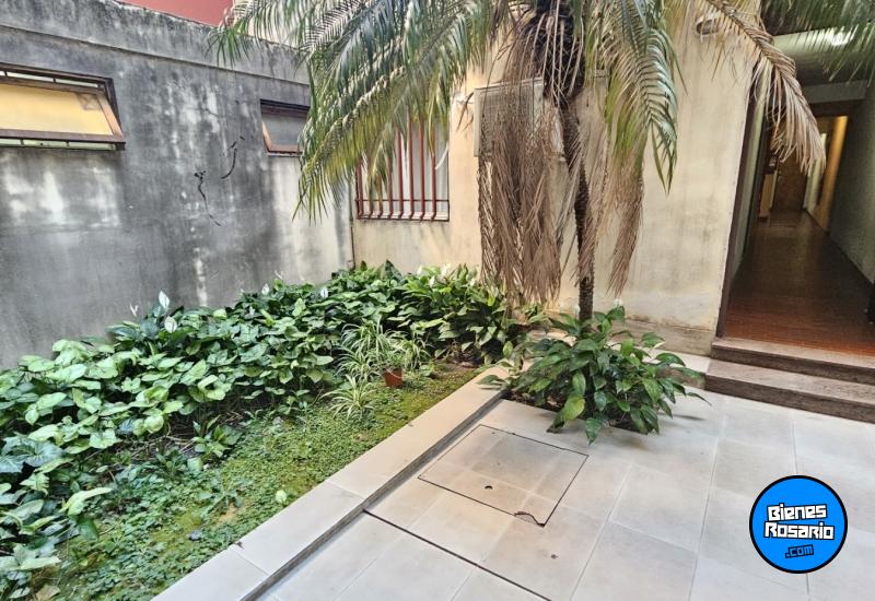 Departamentos - Rosario - Alquiler