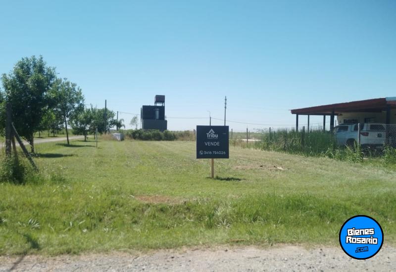 Terrenos - Roldan - Venta