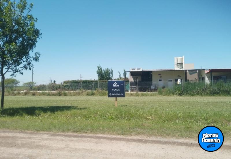 Terrenos - Roldan - Venta