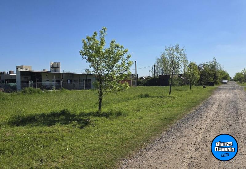 Terrenos - Roldan - Venta