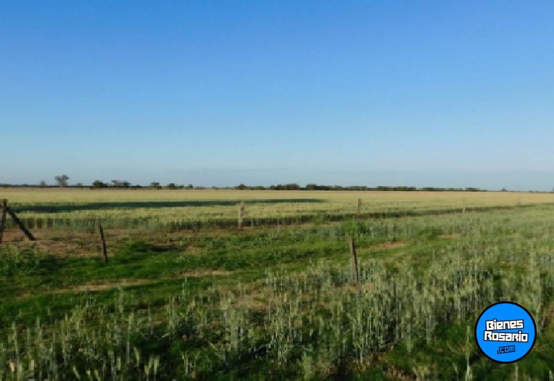 Campos - Roldan - Venta