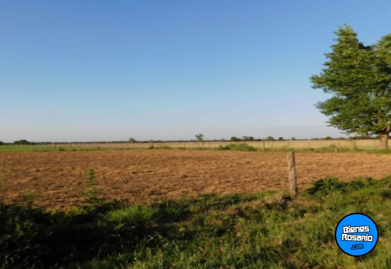 Campos - Roldan - Venta