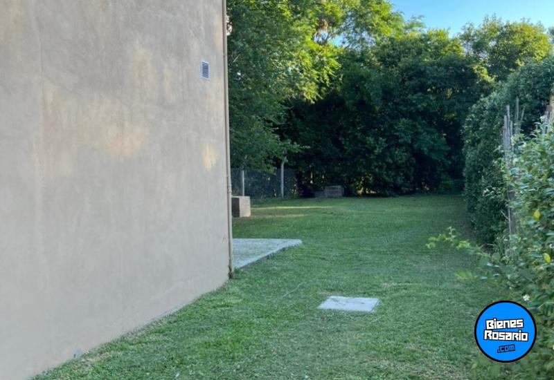 Locales - Andino - Alquiler