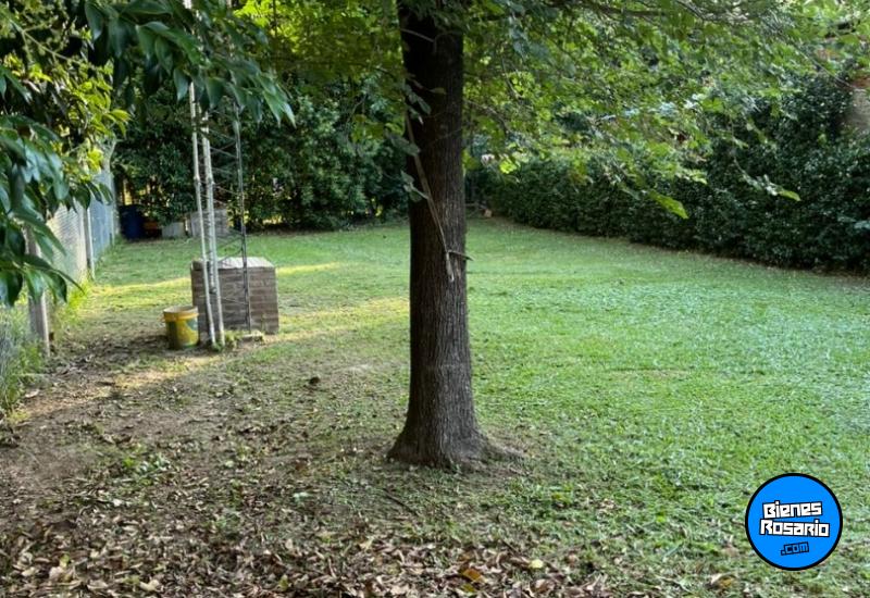 Locales - Andino - Alquiler