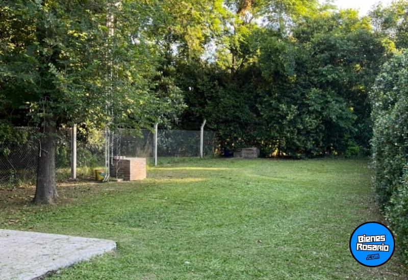 Locales - Andino - Alquiler