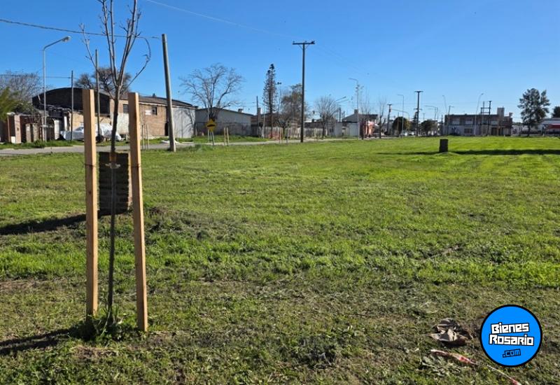 Terrenos - General Lagos - Venta