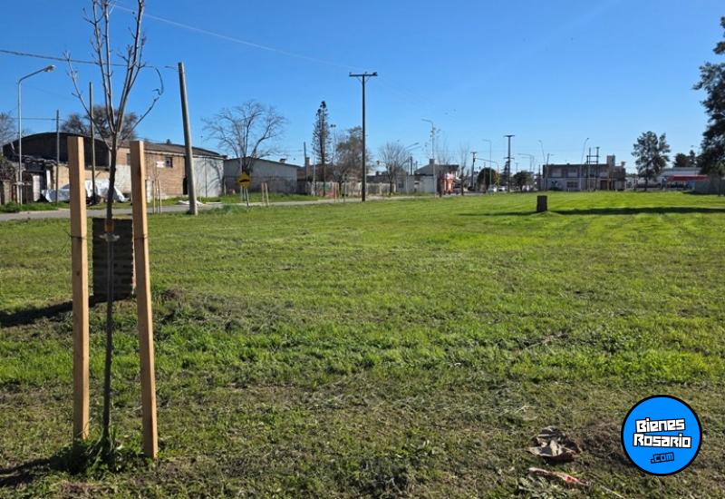 Terrenos - General Lagos - Venta