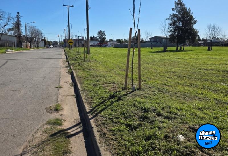 Terrenos - General Lagos - Venta