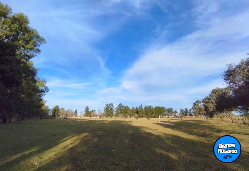 Terrenos - San Antonio - Venta