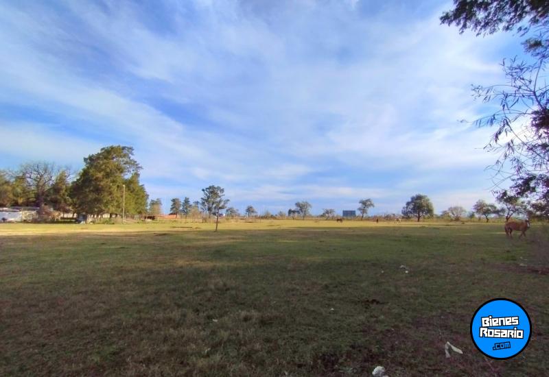 Terrenos - San Antonio - Venta