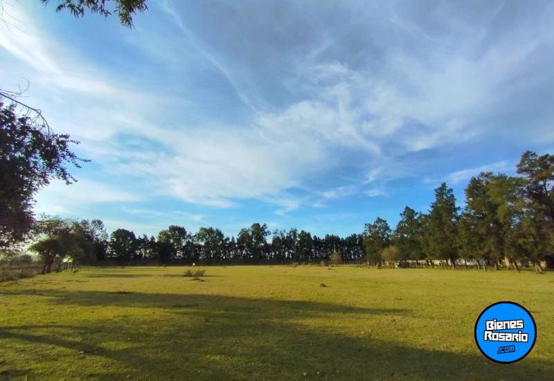 Terrenos - San Antonio - Venta