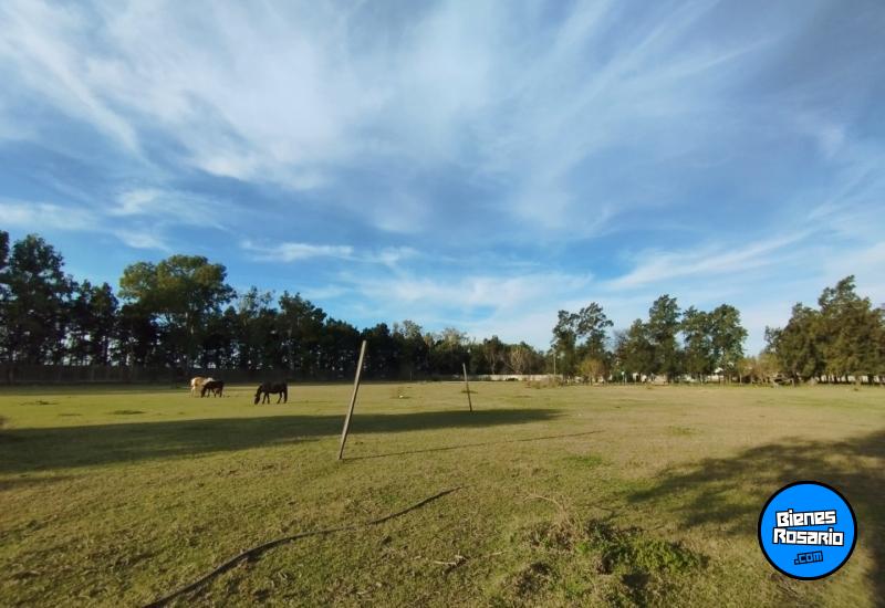 Terrenos - San Antonio - Venta