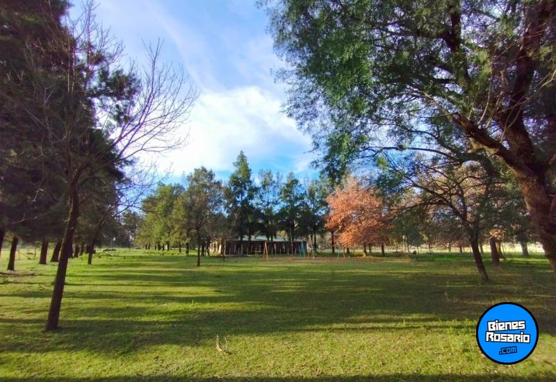 Terrenos - San Antonio - Venta