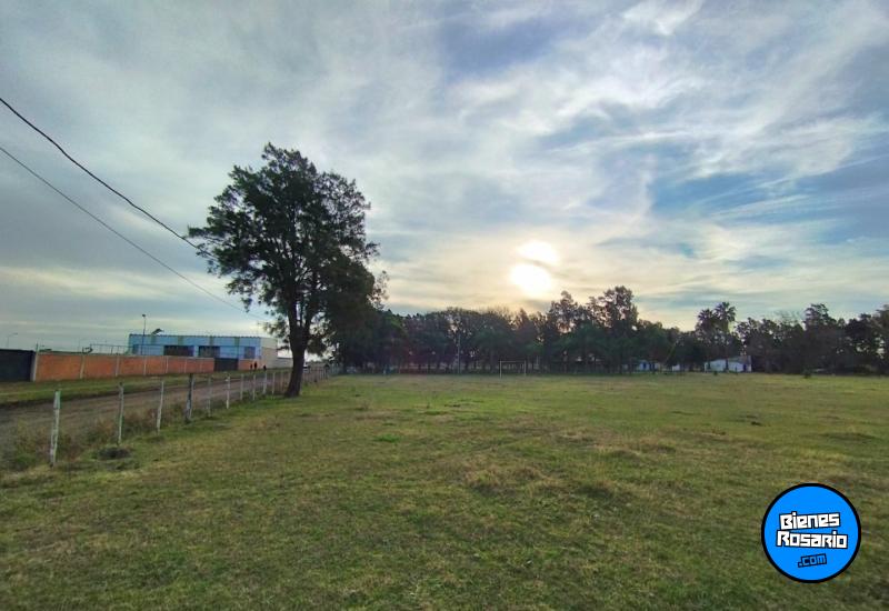 Terrenos - San Antonio - Venta