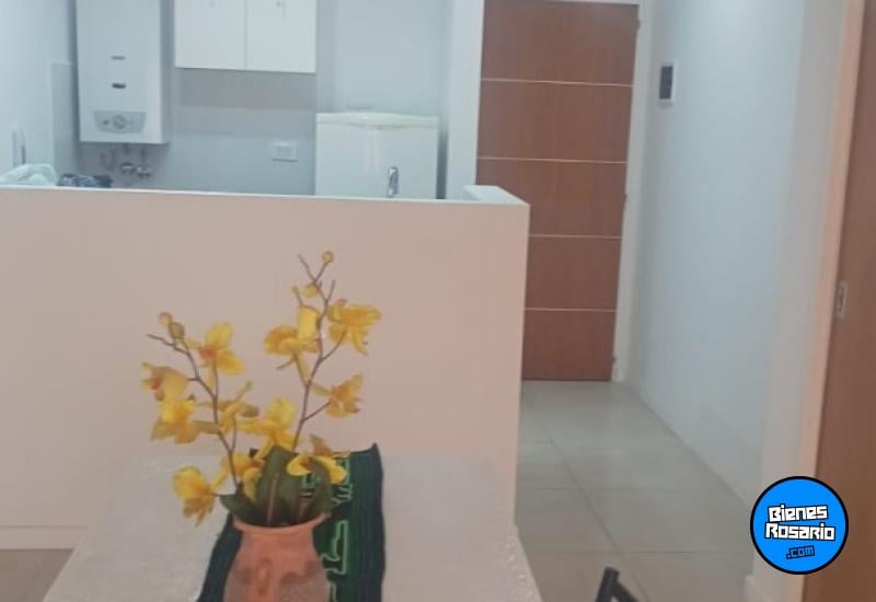 Departamentos - Rosario -  Alquiler