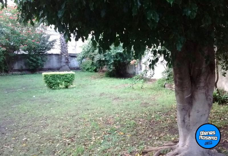 Departamentos - Rosario -  Alquiler